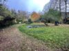 Englischer Garten: Attraktives Grundstück mit Altbestand und Potenzial - Blick in Richtung Straßenseite